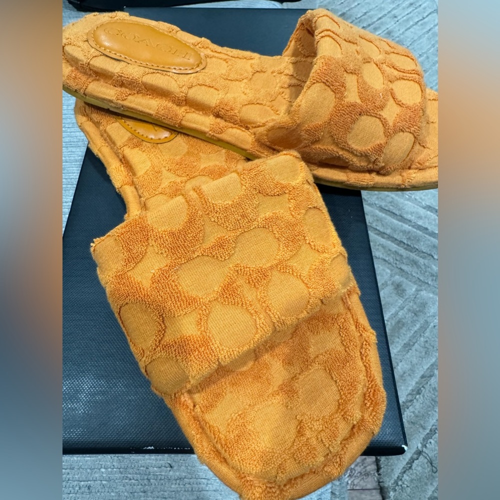 Coach Bridgett Terry Cloth slide.